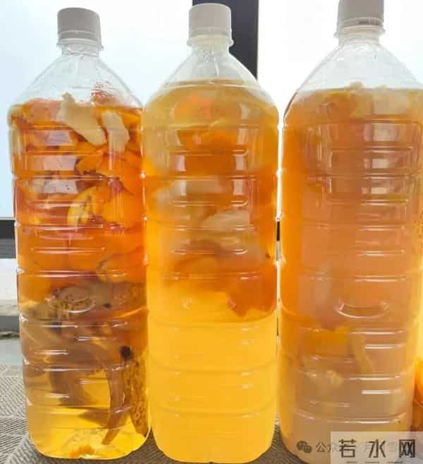 这“4种皮”打死别丢，埋花盆土壤肥的流油，比任何肥料都好用