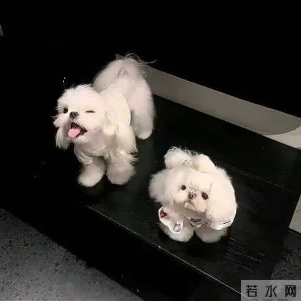 朋友圈背景图头像