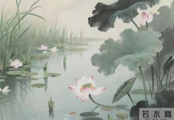 养花30年，我淘汰了大半的花草，只留这7种，越养越上瘾！