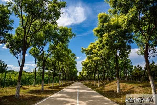 你家孩子，是来报恩的顶级天命，你没注意到天意让你刷到此文？