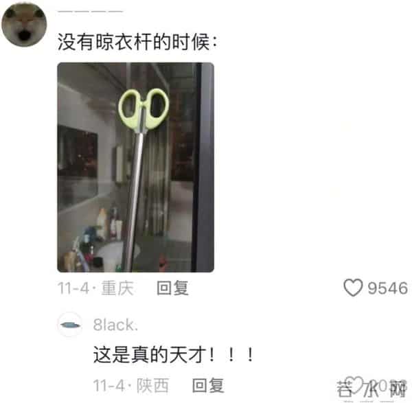 大家的脑袋都是怎么长的？怎么这么会过日子！网友：刷到太晚了！