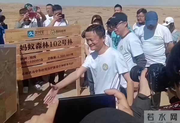 马云斥巨资在沙漠里种树,承诺每年1亿棵,9年过去了,树怎样了
