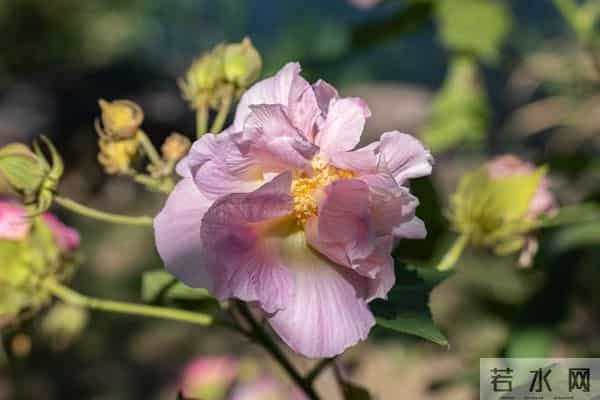 藏了8年的生活小偏方，低成本而且还好用，家家都能用