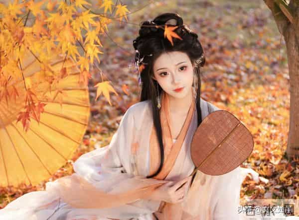 青丘九尾狐族百年化形，而我出生时灵气枯竭，三百岁了还是个狐狸