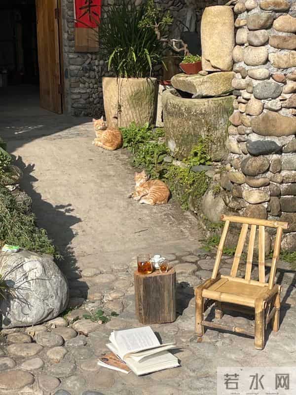 冬天有个院子,晒晒太阳就满足了!