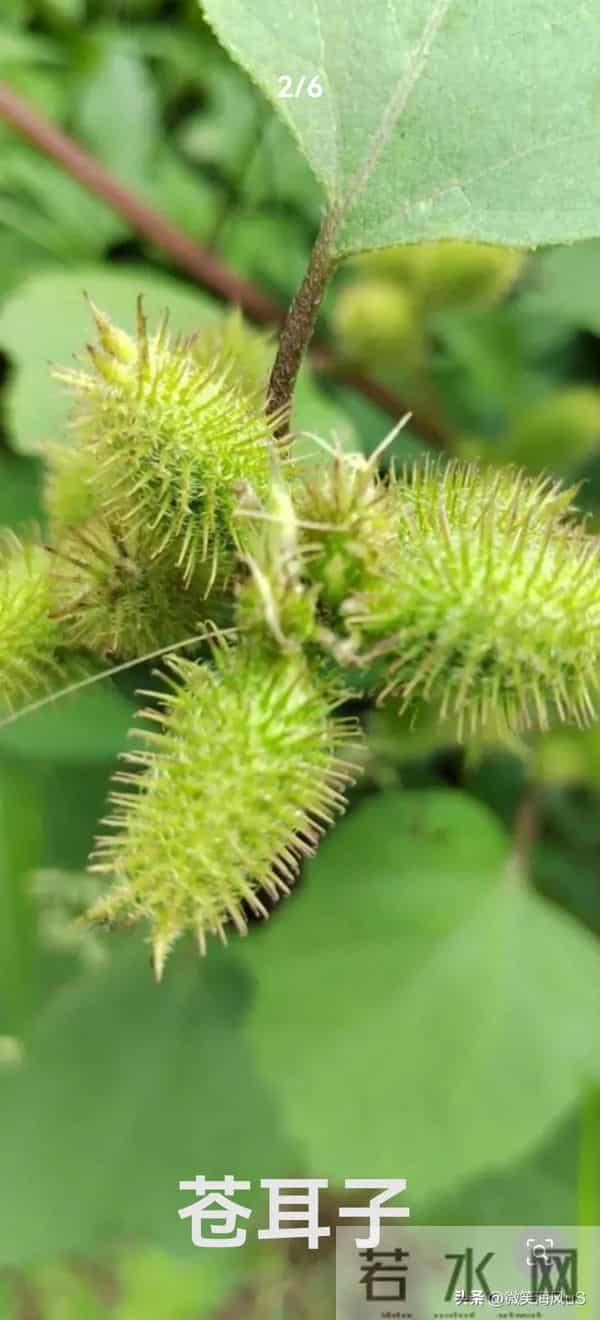 悲情的台湾老兵大陆探亲行（六）（原创）