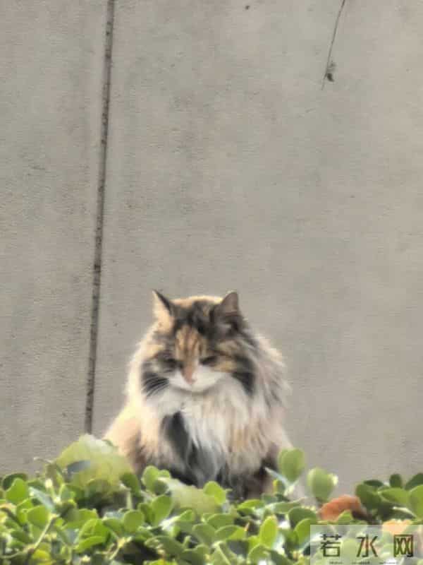 又到了重温陈奕迅经典语录的时候 - 冷段子3430 & 去年今日3080