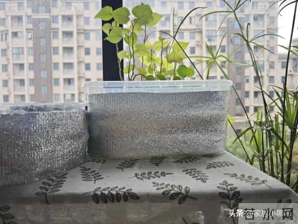 冬季10个“不花钱取暖”妙招，打开思路，不花钱照样可以温暖过冬