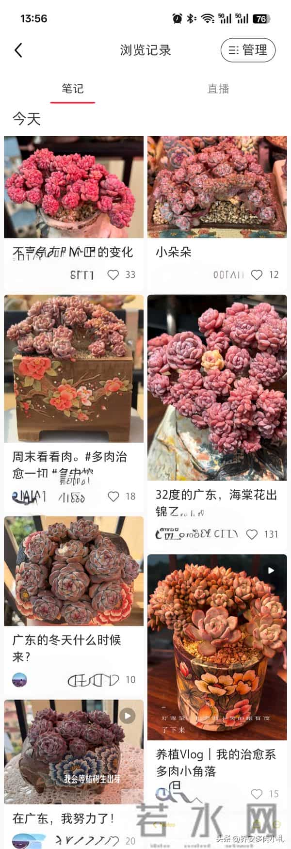 谁说冰玉养久了就能黄透养了五年还这个样，还有不出状态的纯爱