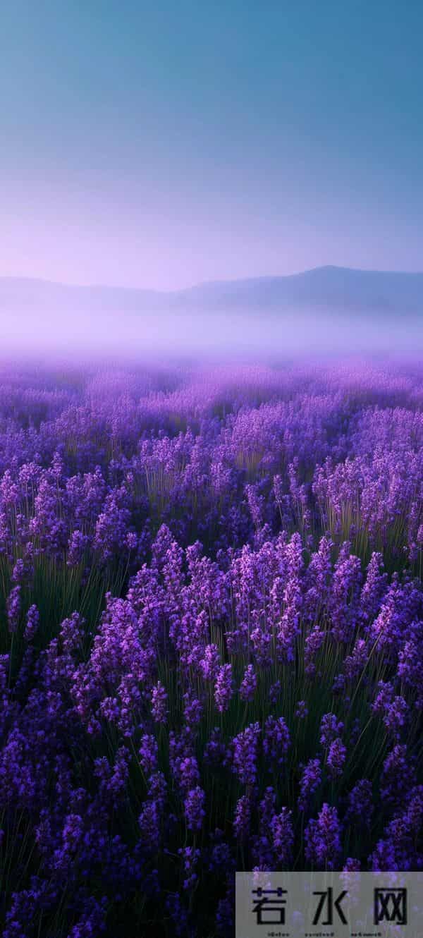 高清壁纸｜风格不被定义第328篇