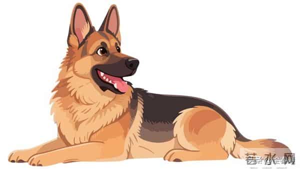 十二月注意：属狗人别栽在自己这 两个“坑”里！