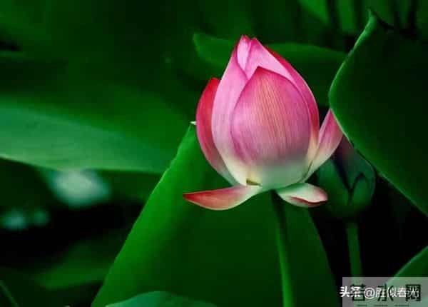 终于轮到你了！命运欠你的公道，将在本月以现金的方式加倍奉还。