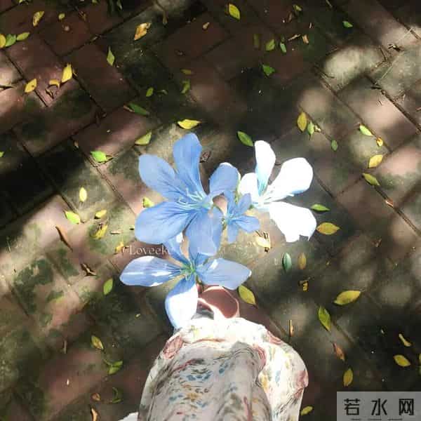 朋友圈背景图头像