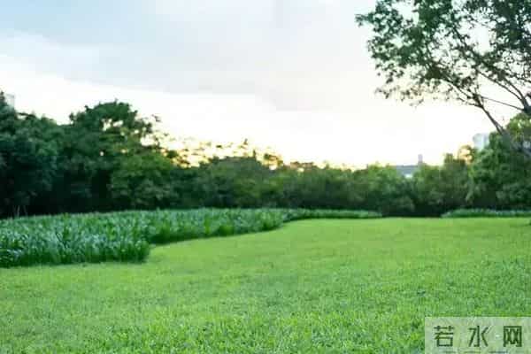 50岁后，存款够这个数就别瞎攒了：钱是活的，日子别过成死的