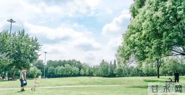 2026年,孩子好运爆棚,全家迎来转机,高光时刻近在眼前!