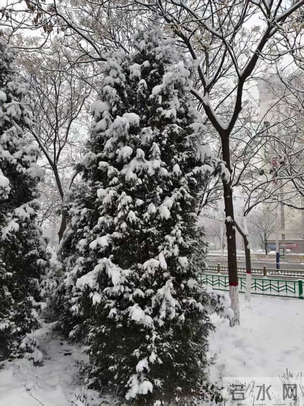 雪后的早晨