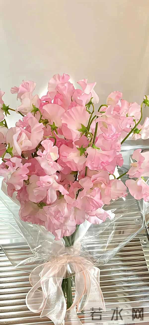 温柔粉色系壁纸