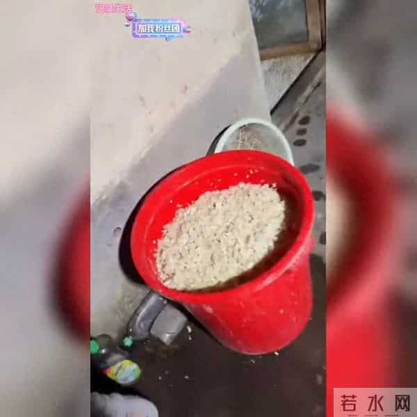 全村仅此一家的霸气大门，小松秋秋家今日落成