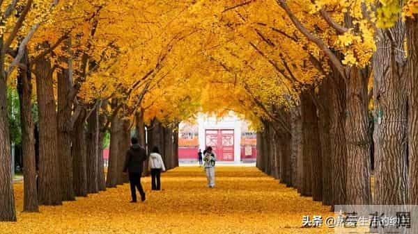 八九年高中毕业的落榜生，你们过得怎么样了？还记得当年吗！