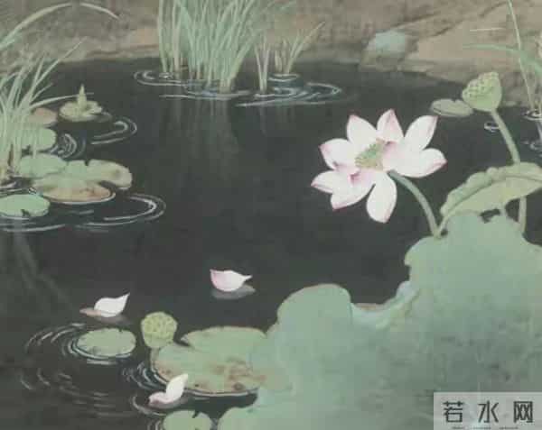 养花30年，我淘汰了大半的花草，只留这7种，越养越上瘾！