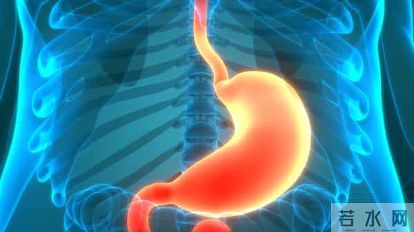 医生提醒:两种禽类容易导致孩子白血病,妈妈们购买时警惕