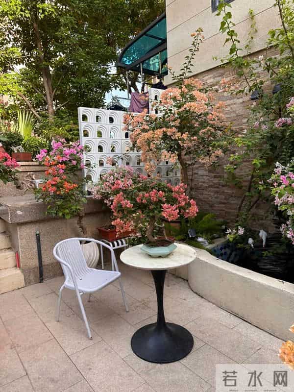 院子再小，也要种这几种花，好看好养又旺宅！