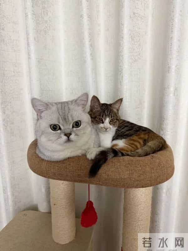 又到了重温陈奕迅经典语录的时候 - 冷段子3430 & 去年今日3080