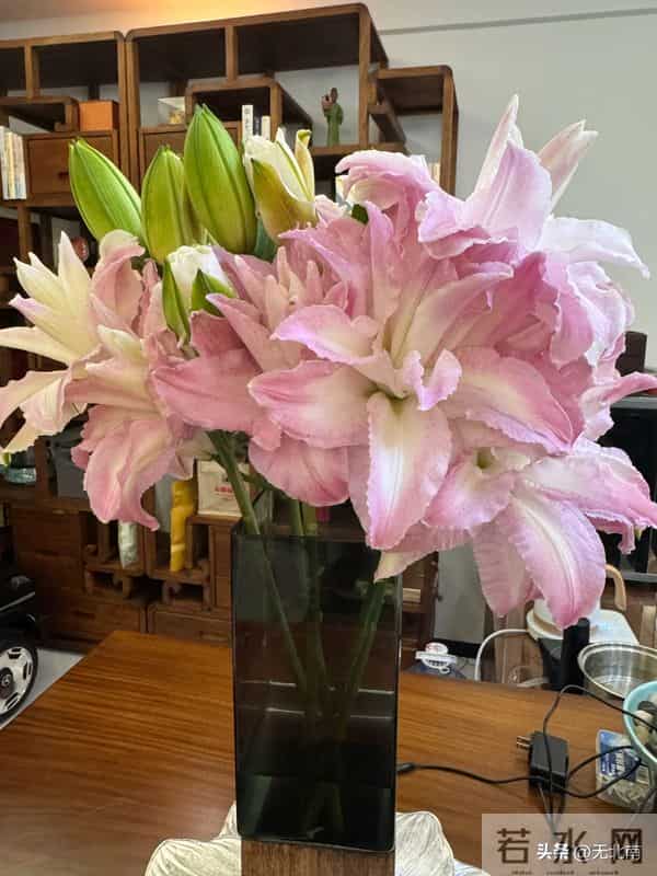 我能不能告诉他实情