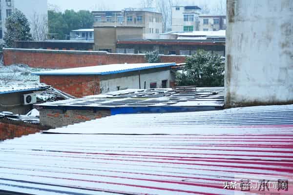 河南淮滨：凌晨飘下第二场雪花儿