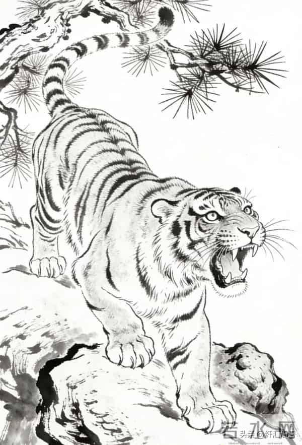 猛虎下山图，霸气侧漏