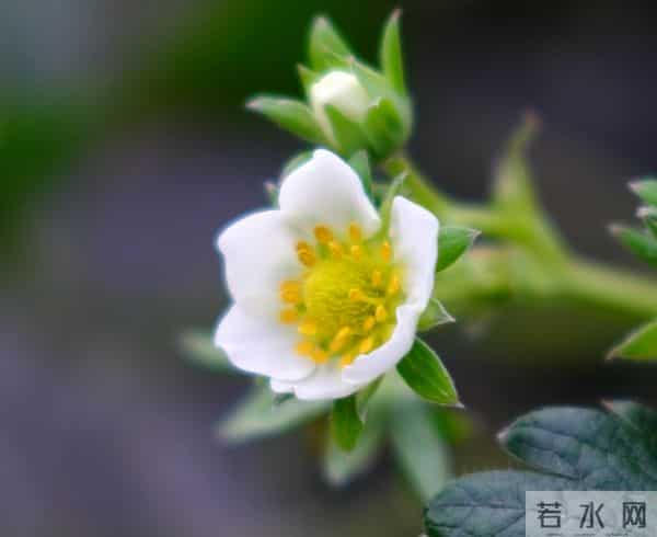 藏了8年的生活小偏方，低成本而且还好用，家家都能用