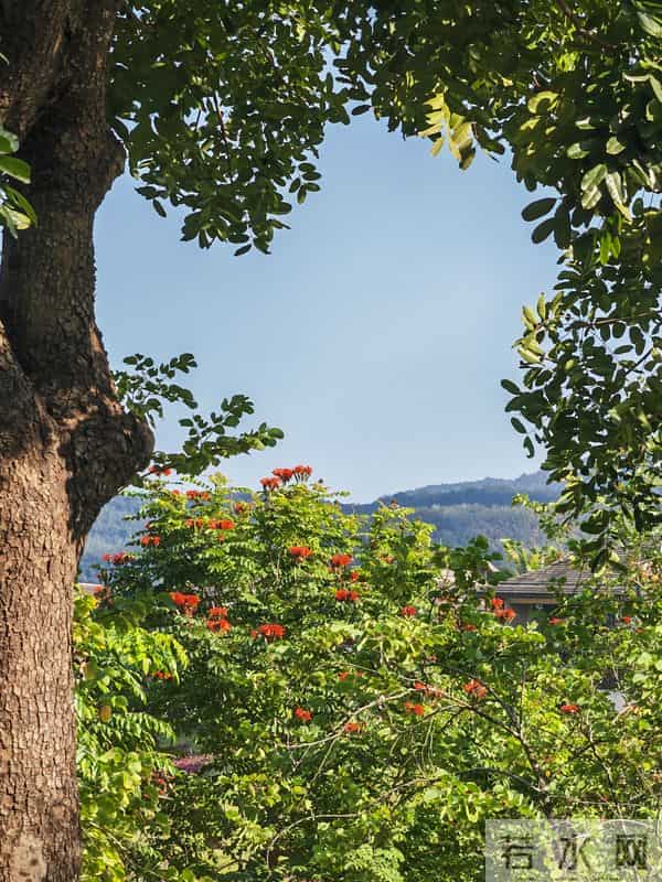 花开烂漫尽情艳