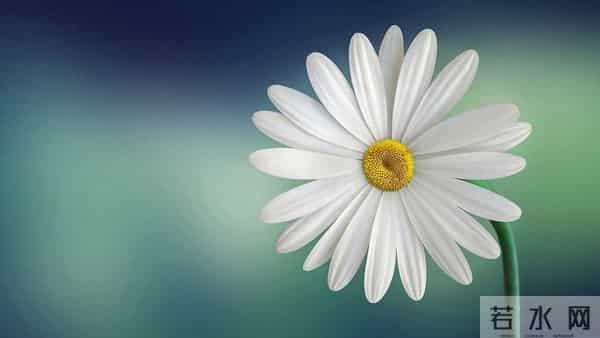 申猴：第一名：12月14日，之后两天，想给你点掏心窝的话！