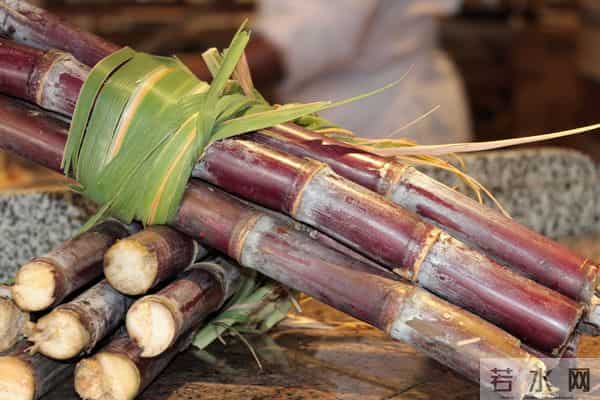 甲流去世的人不断增多!医生提醒:少吃甘蔗,多喝7汤,润肺降火