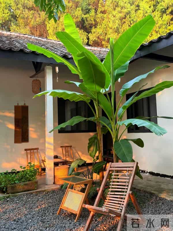 我租了个院子，用来“浪费”时间！