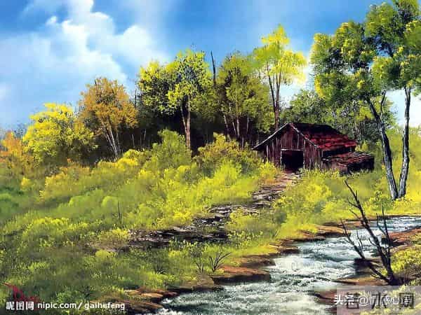 这5种花不要“换大盆”，小盆“憋着养”，疯狂冒花苞