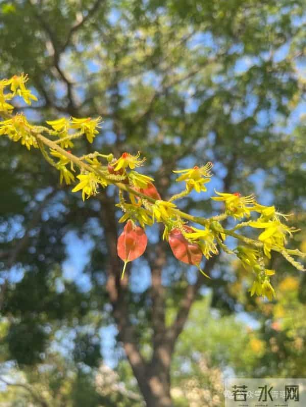 想要“省钱”中老年人最该记住的八句话