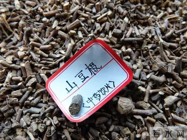 中药备考封神！10大科属药材速记口诀，背完直接提分