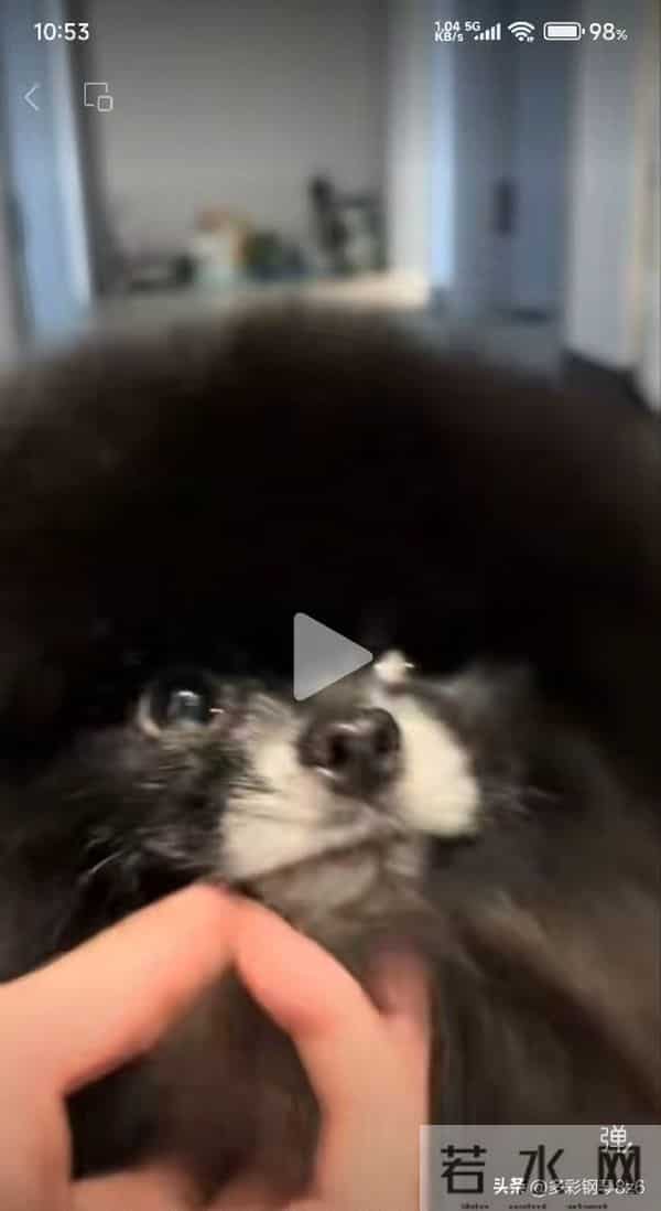 灵魂画像,和本尊长得真是一模一样,以为是抽象派,其实是写实派