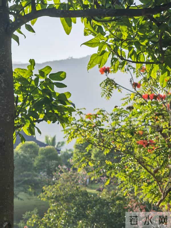 花开烂漫尽情艳