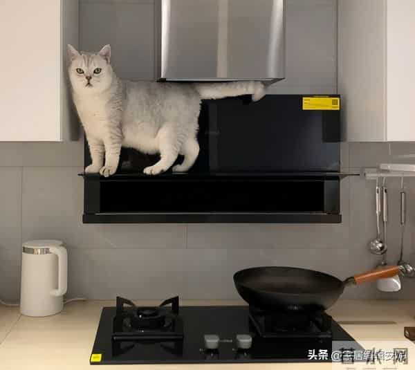 用油烟机时，到底要不要“开窗”？听内行人说完，才知我一直做错