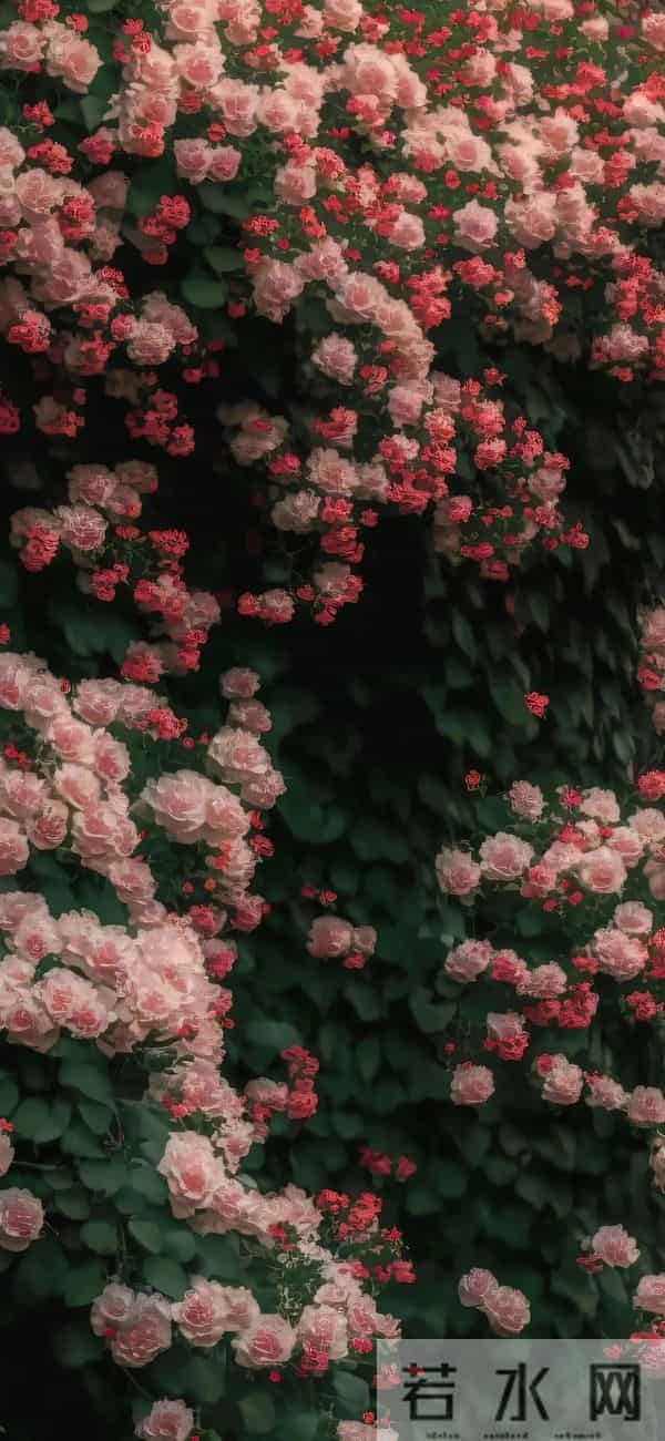 丰富一下你的手机壁纸吧