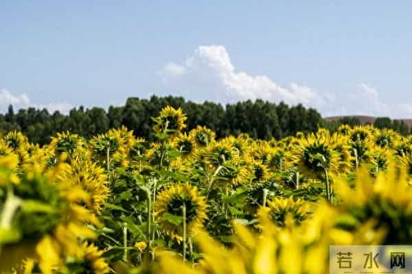 家里留这5样东西越久越不顺，赶紧清，好运主动来