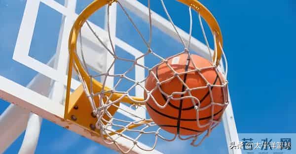 NBL冲连红，今天太攀蛇VS跳伞蚁大小分核心解读