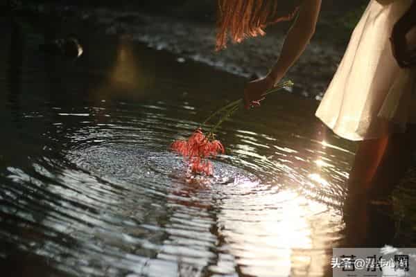 我是一个住家保姆，今年46岁，由于耐不住寂寞，每晚上会去走夜路
