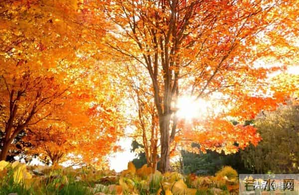 玄学：你知道你的命是几两重？富贵还是贫贱？其实贫富之分在此！