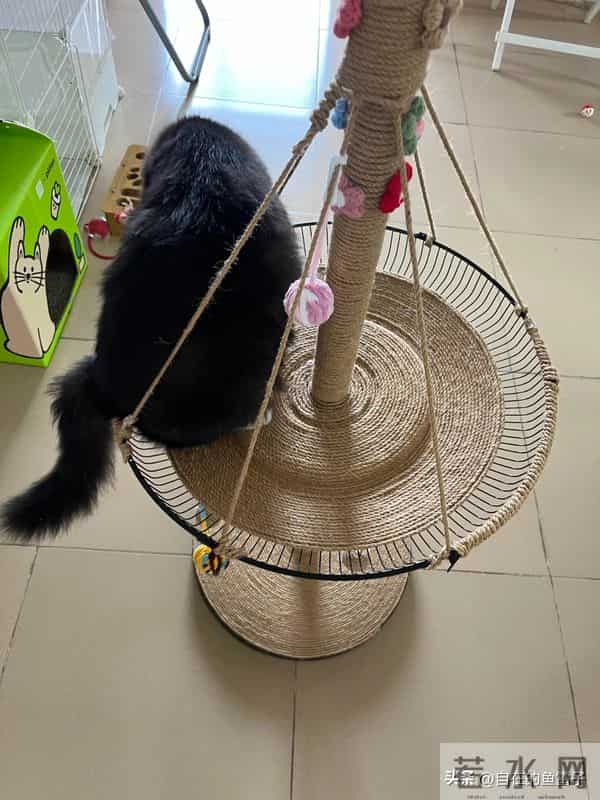 闲置旧家电别只当废品卖！网友的脑洞改造，让你直呼亏大了