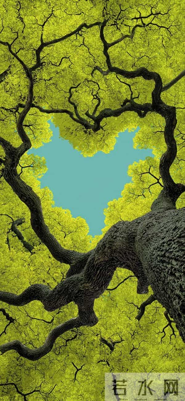 丰富一下你的手机壁纸吧