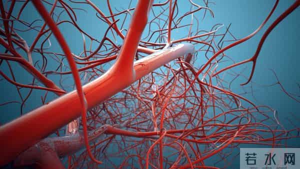 黄酒立大功！医生调查发现：常喝黄酒，或能降低2种并发症