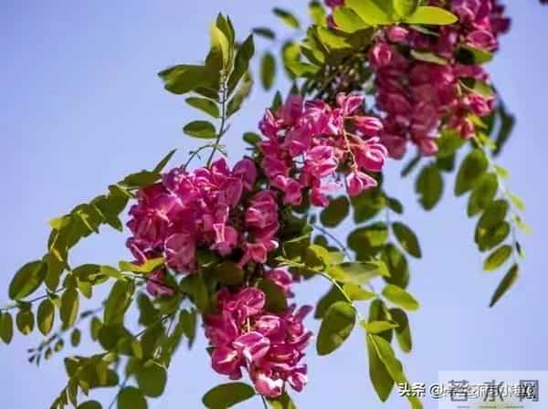 门口放一天，家里穷三年，门口不能放什么？今天终于明白了。